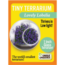 SILVER CIRCLE TINY TERRARIUM FLOWERS