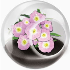 SILVER CIRCLE TINY TERRARIUM FLOWERS