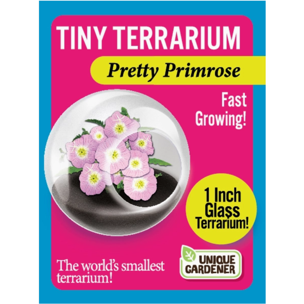 SILVER CIRCLE TINY TERRARIUM FLOWERS