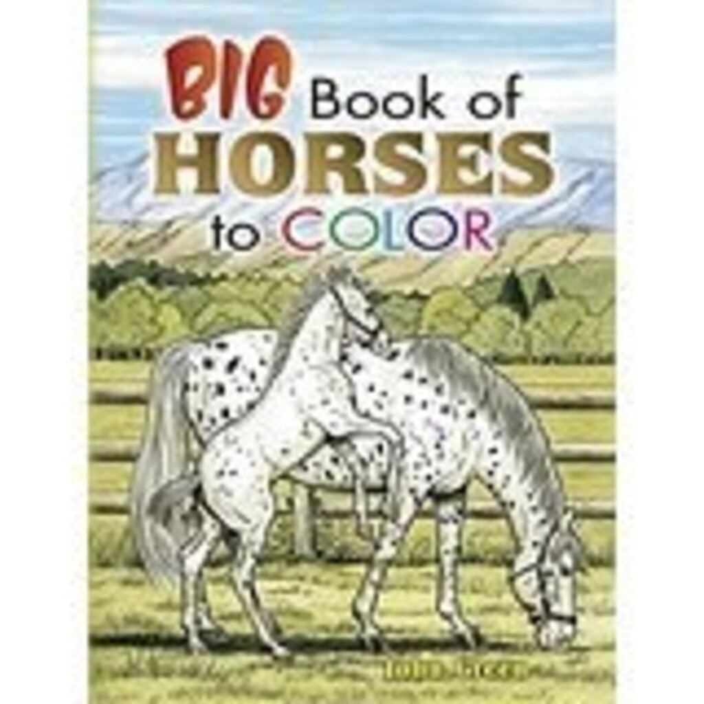DOVER PUBLICATIONS BIG BOOK OF HORSES TO COLOR PB GREENE