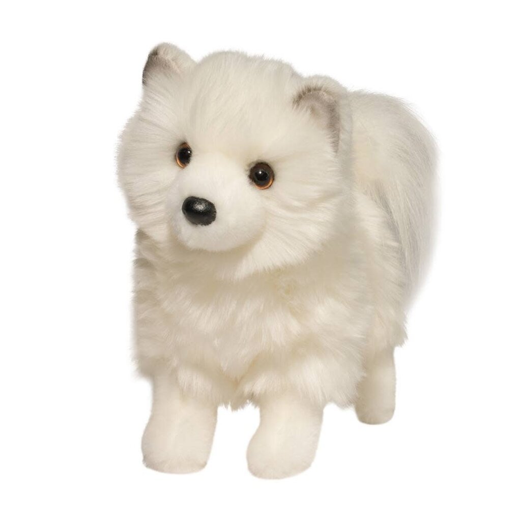 DOUGLAS COMPANY INC PHOEBE POMSKY*
