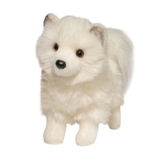 DOUGLAS COMPANY INC PHOEBE POMSKY*
