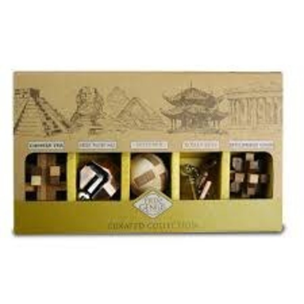 PROJECT GENIUS CURATED COLLECTION PUZZLES