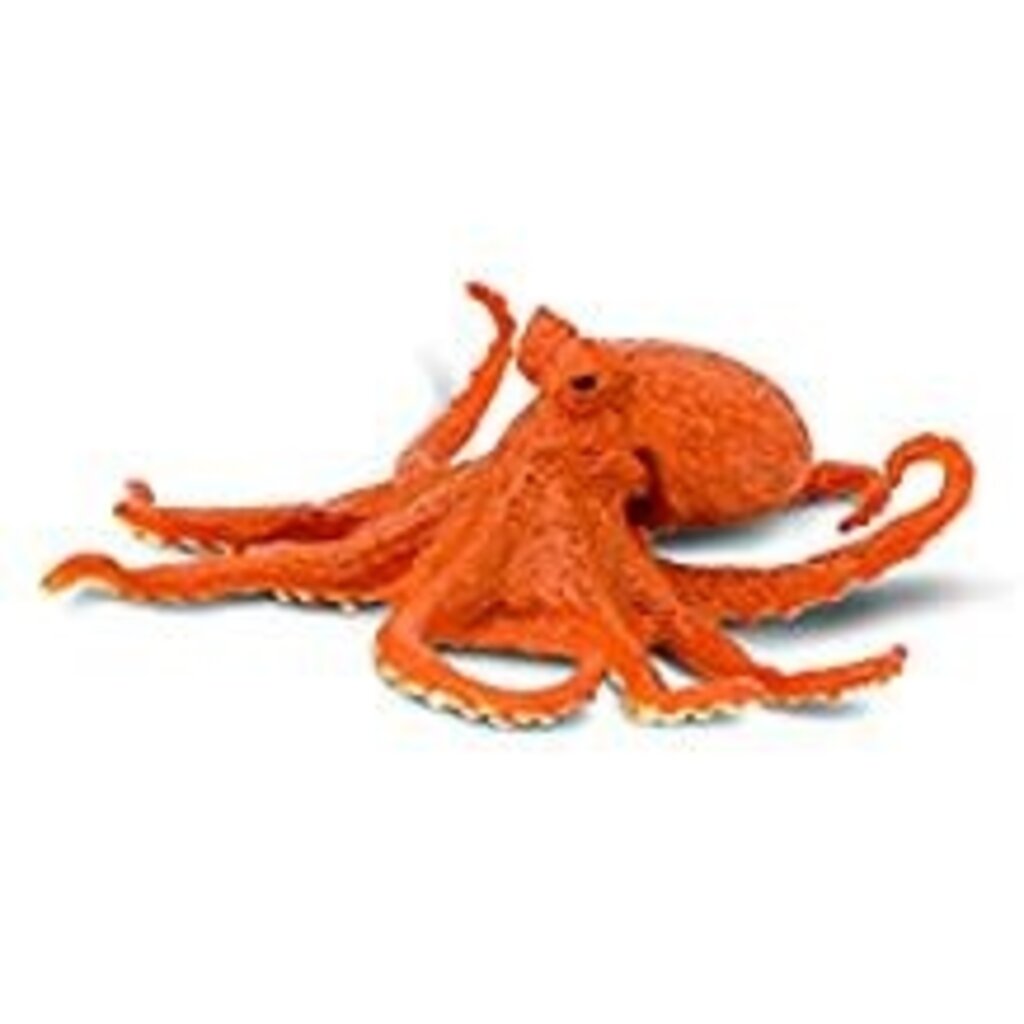 SAFARI SAFARI OCTOPUS