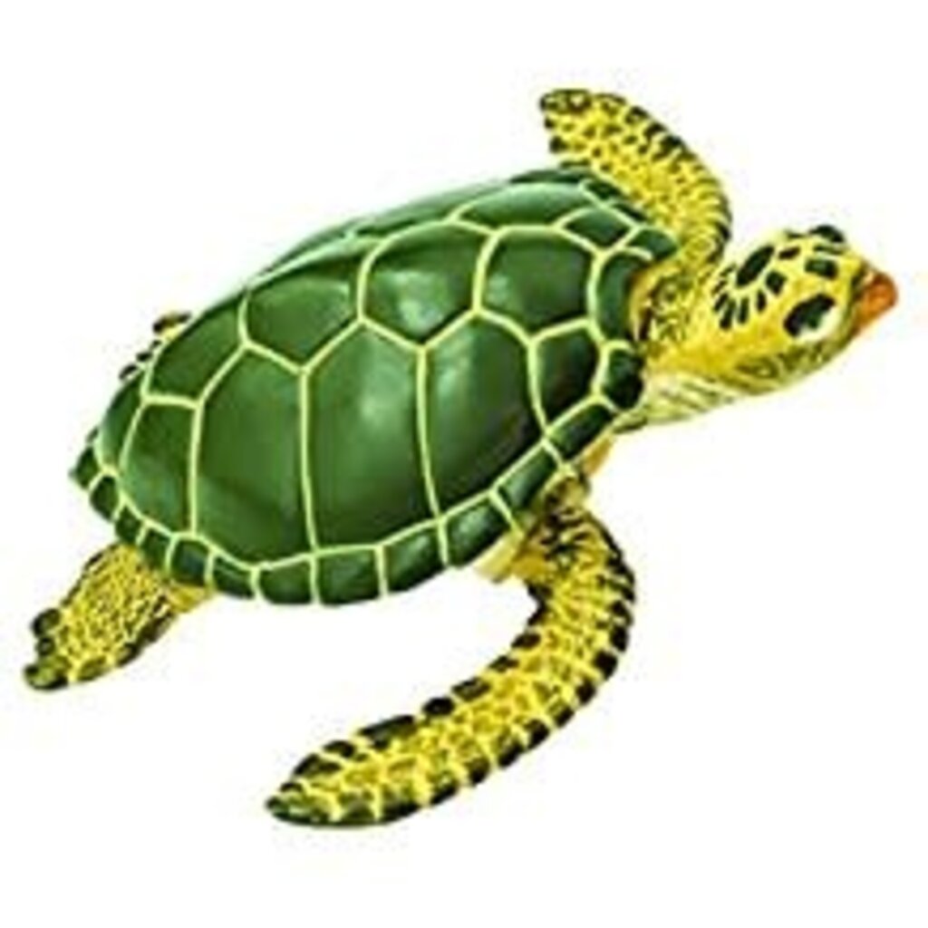 SAFARI GREEN SEA TURTLE SAFARI