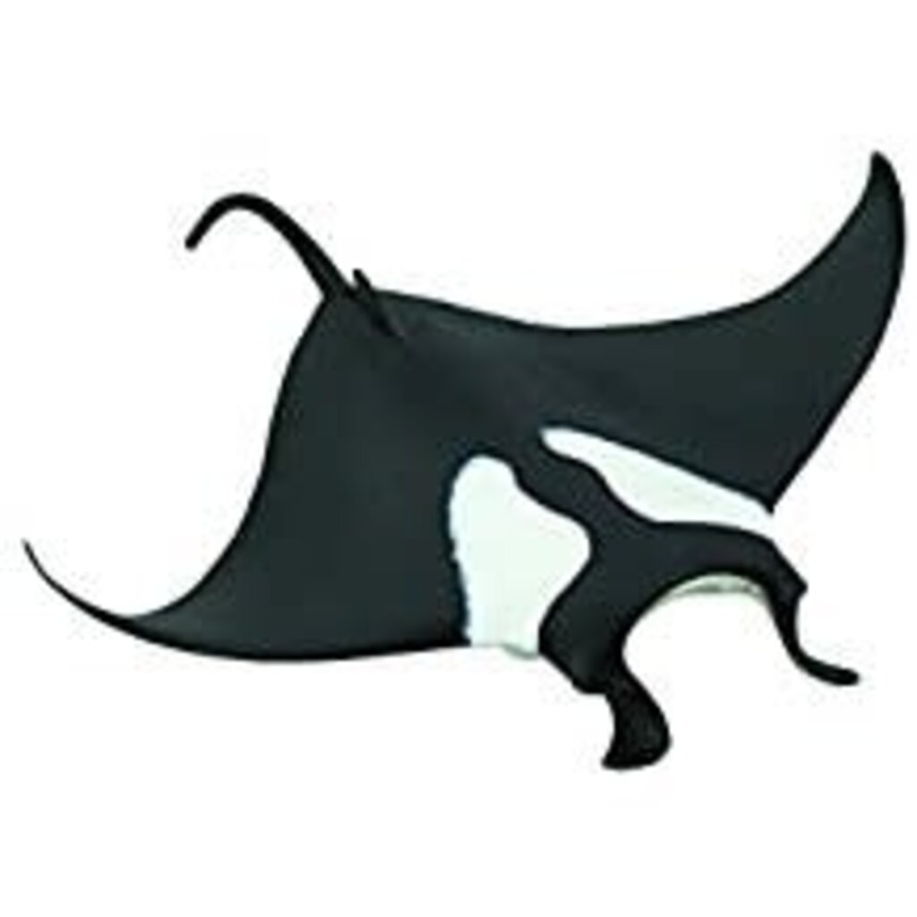 SAFARI MANTA RAY SAFARI*