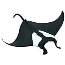 SAFARI MANTA RAY SAFARI*