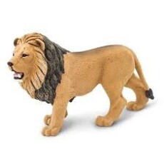 SAFARI LION SAFARI