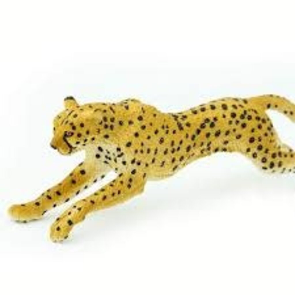 SAFARI SAFARI CHEETAH