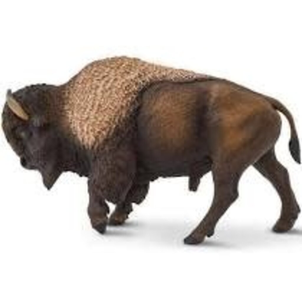 SAFARI SAFARI BISON