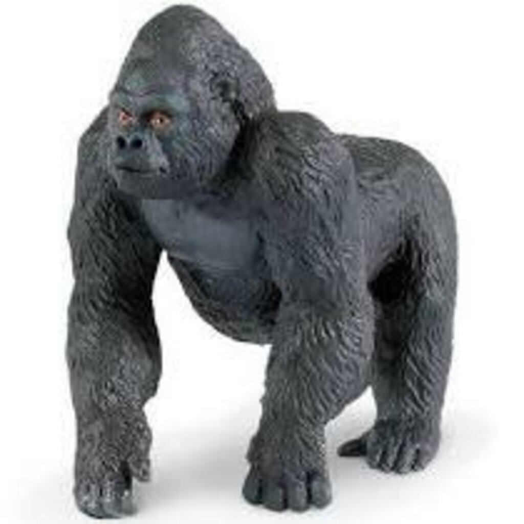 SAFARI SAFARI LOWLAND GORILLA