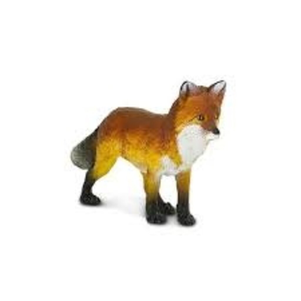 SAFARI SAFARI FOX