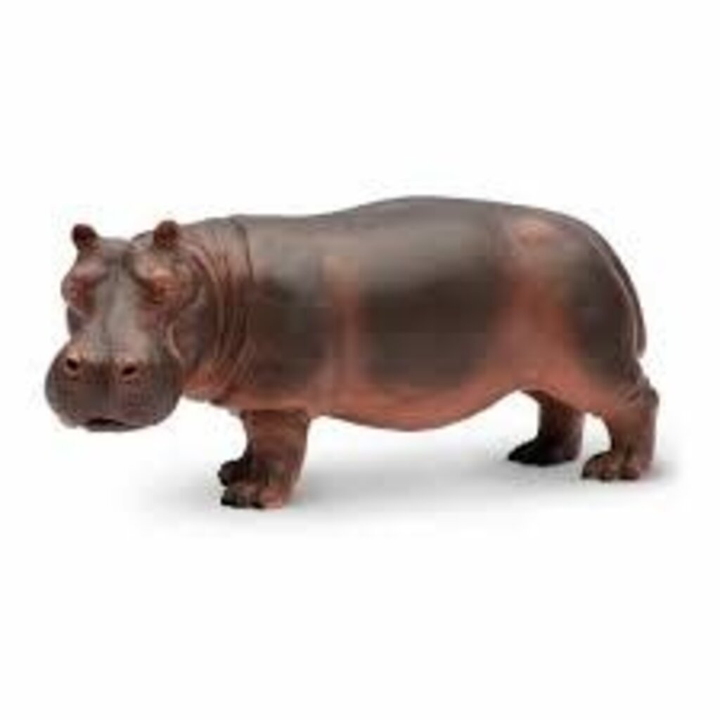 SAFARI HIPPO SAFARI