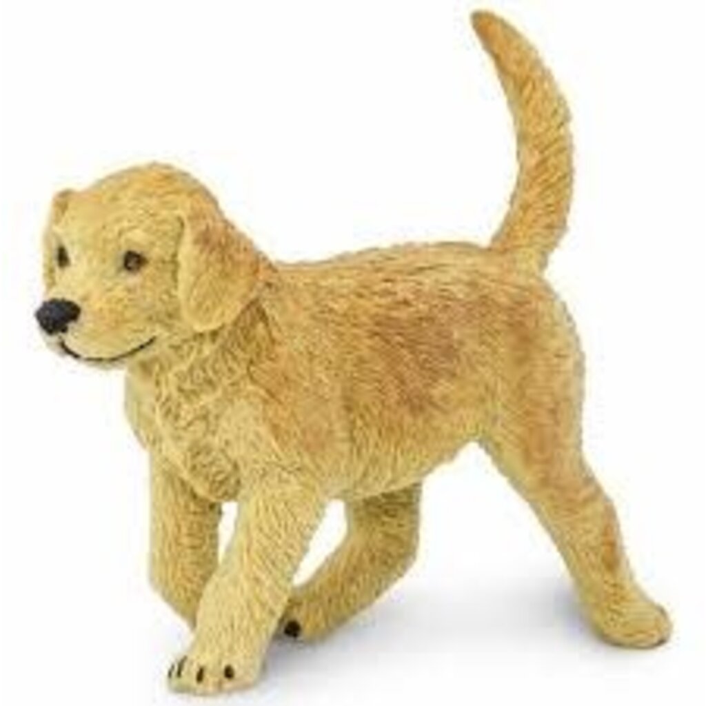 SAFARI SAFARI PUPPY