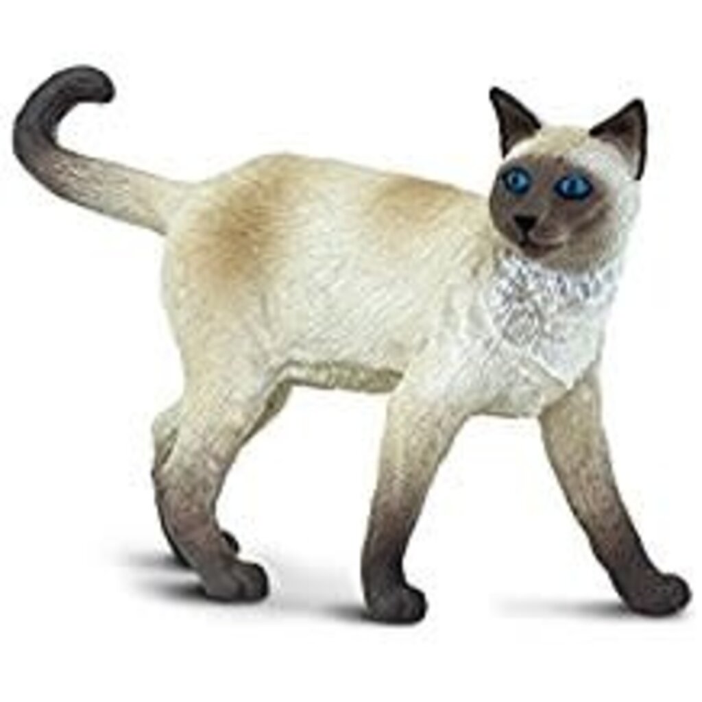 SAFARI SAFARI CAT