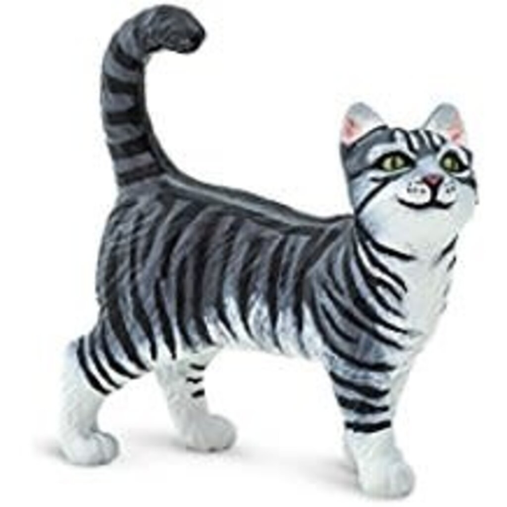 SAFARI SAFARI CAT