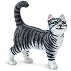 SAFARI SAFARI CAT