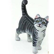 SAFARI SAFARI CAT