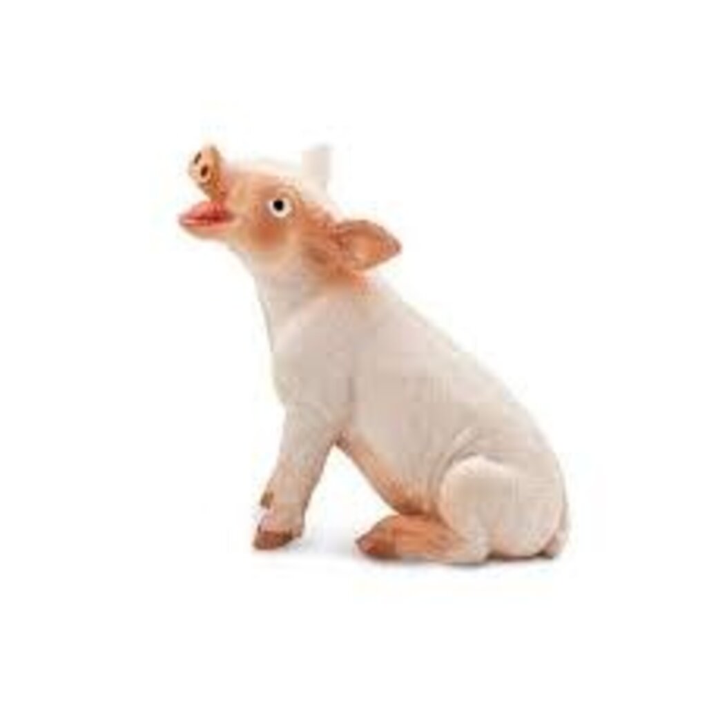 SAFARI SITTING PIGLET SAFARI