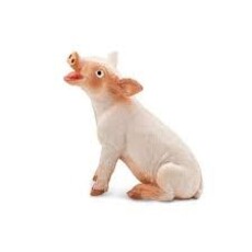 SAFARI SITTING PIGLET SAFARI