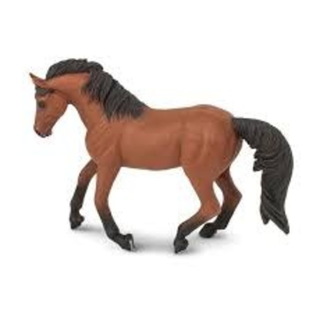 SAFARI SAFARI HORSE MARE