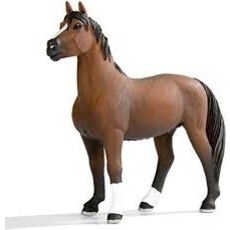 SAFARI SAFARI STALLION