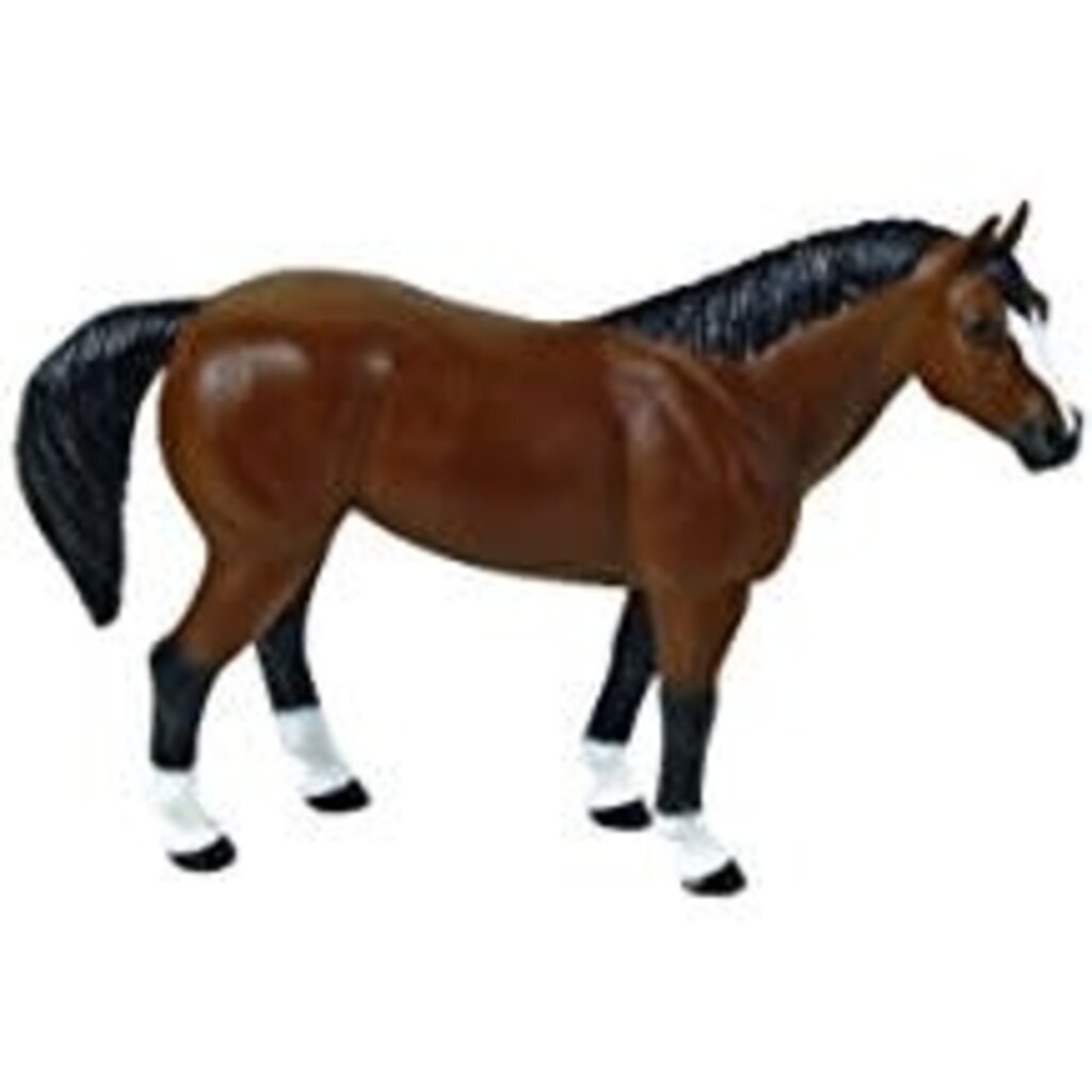 SAFARI SAFARI GELDING