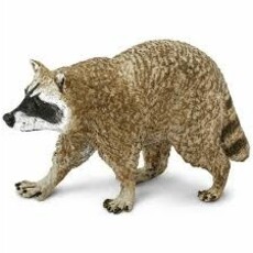 SAFARI SAFARI RACCOON