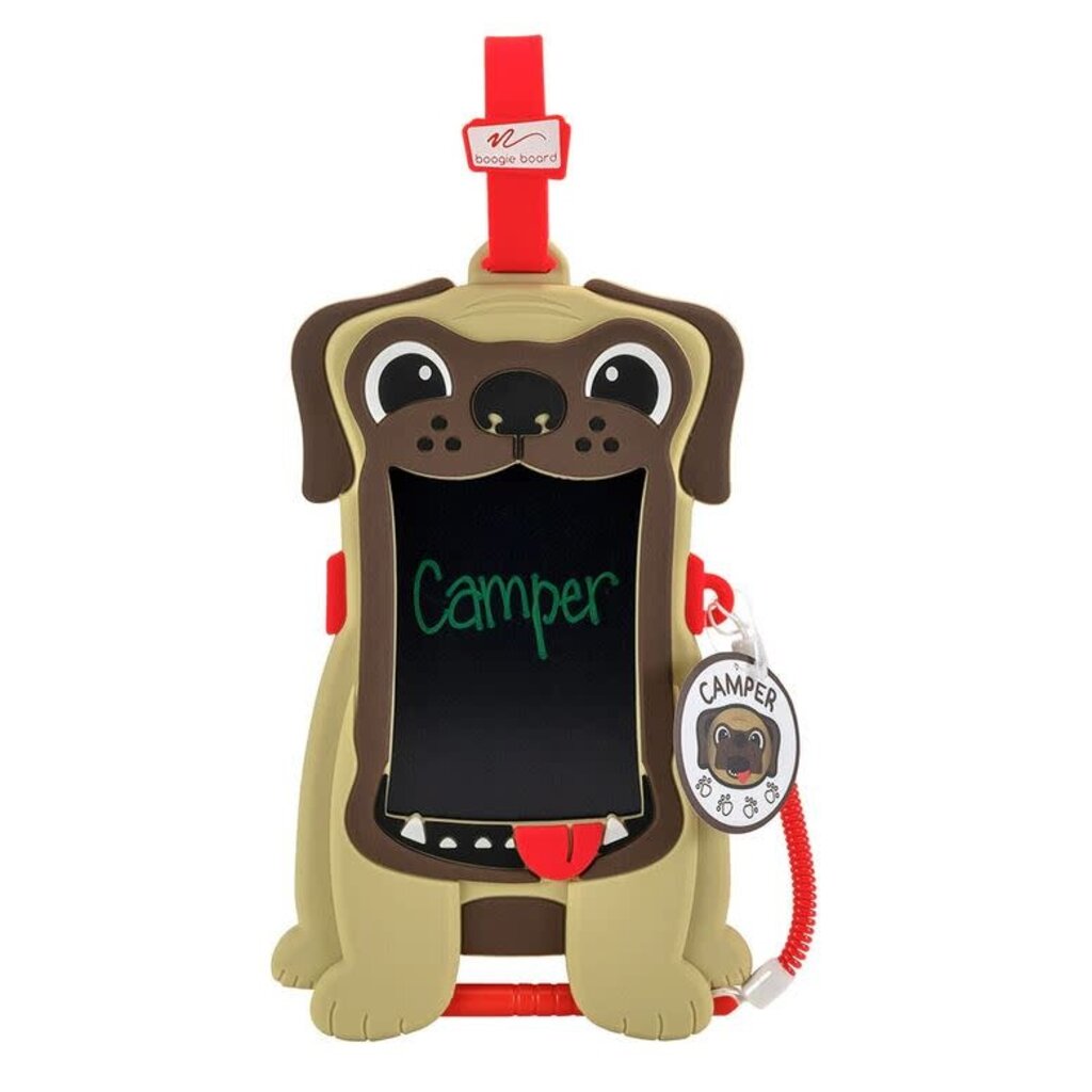 BOOGIE BOARD SKETCH  PALS