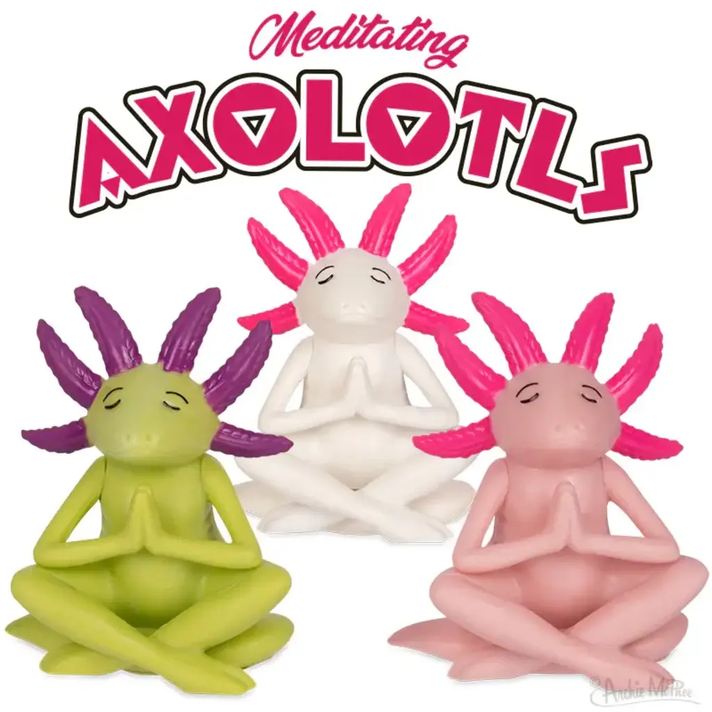 ACCOUTREMENTS MEDITATING AXOLOTL**