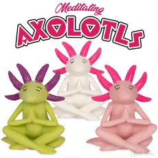 ACCOUTREMENTS MEDITATING AXOLOTL**