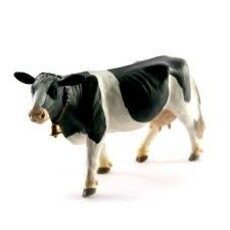 SAFARI SAFARI COW