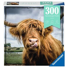 RAVENSBURGER USA 300 PC PUZZLE MOMENT