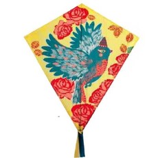 DJECO DJECO KITE