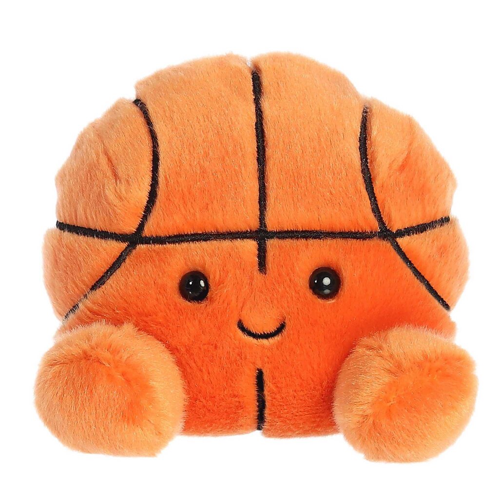 AURORA HOOPS BASKETBALL