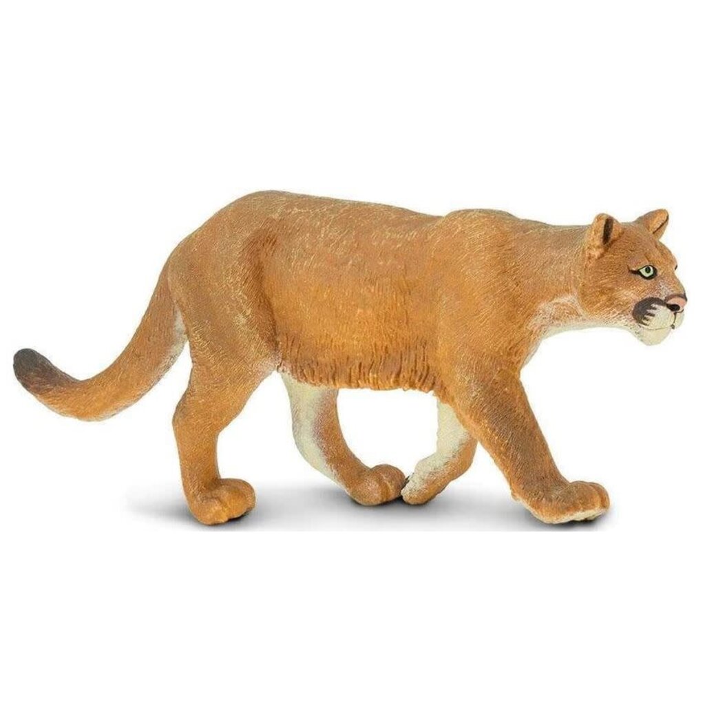 SAFARI SAFARI MOUNTAIN LION