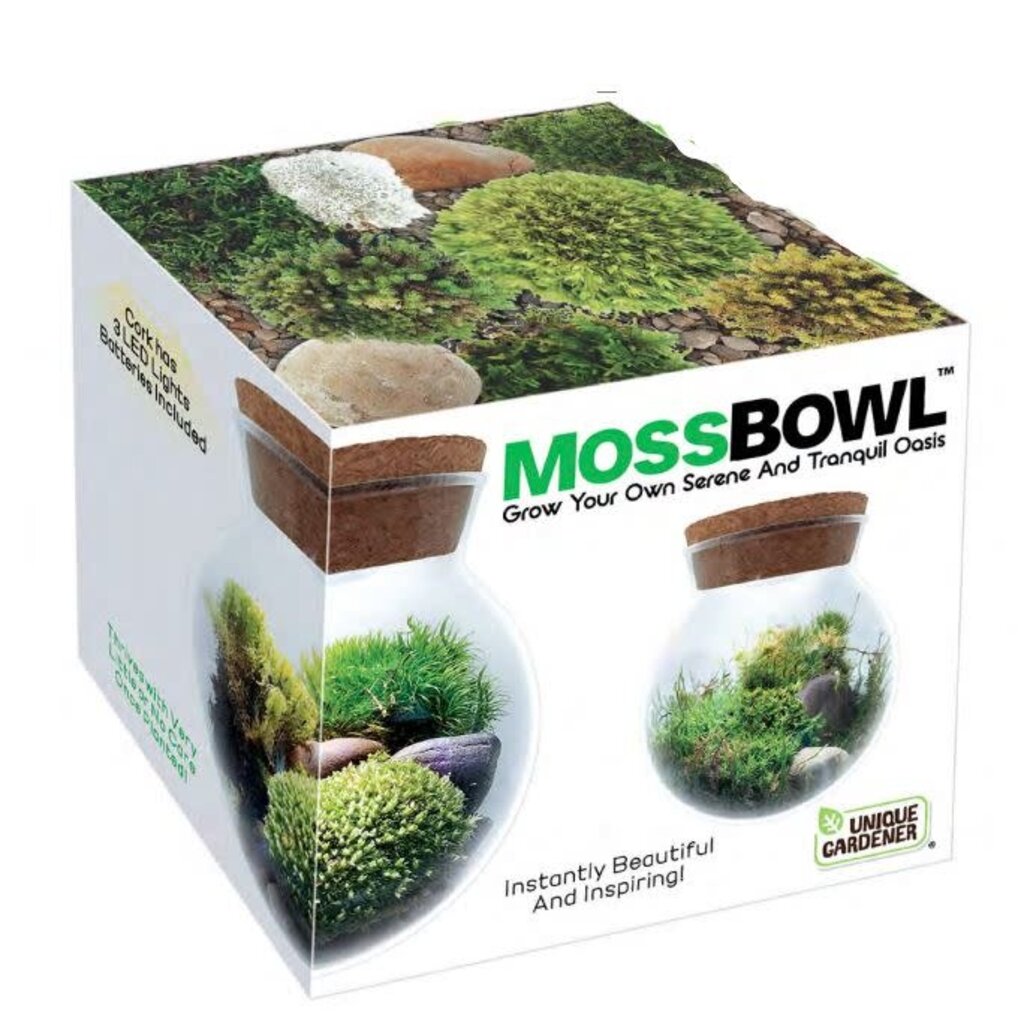SILVER CIRCLE GROW YOUR OWN MOSS BOWL
