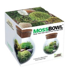 SILVER CIRCLE GROW YOUR OWN MOSS BOWL