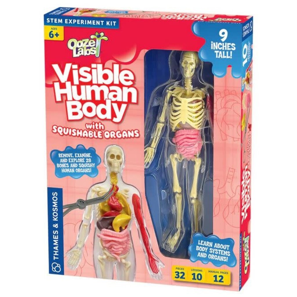 OOZE LABS VISIBLE HUMAN BODY