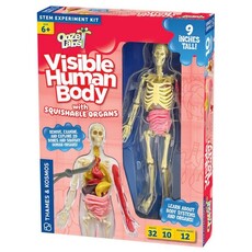 OOZE LABS VISIBLE HUMAN BODY
