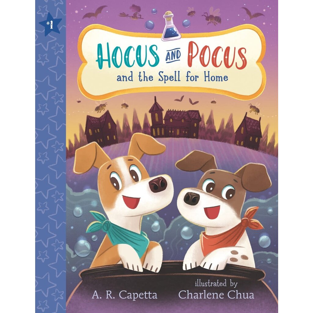 CANDLEWICK PRESS HOCUS AND POCUS 1 SPELL FOR HOME PB CAPETTA