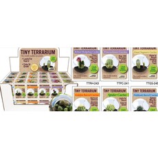 SILVER CIRCLE TINY TERRARIUM CACTUS