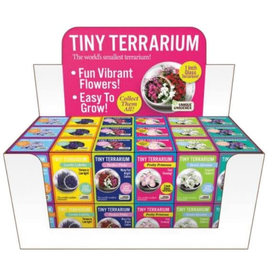 SILVER CIRCLE TINY TERRARIUM FLOWERS