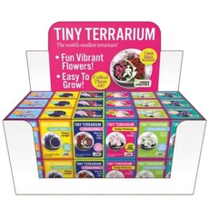 SILVER CIRCLE TINY TERRARIUM FLOWERS