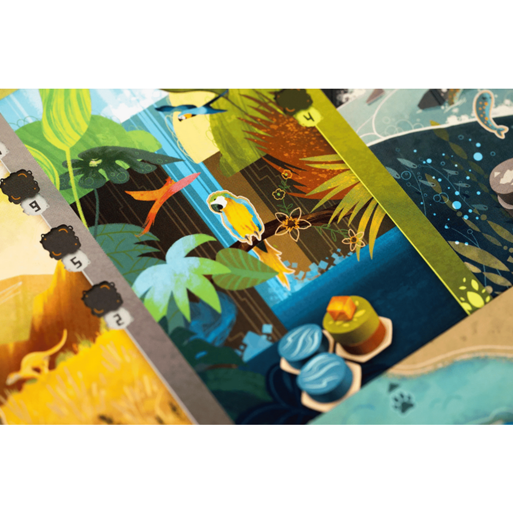 HARMONIES BOARD GAME