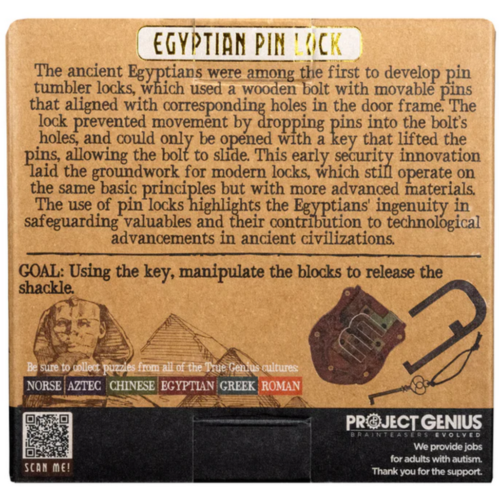 PROJECT GENIUS LOCK & KEY PUZZLE