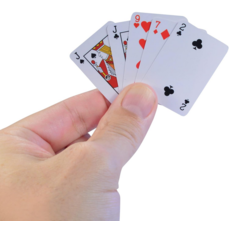 WORLDS SMALLEST WORLDS SMALLEST PLAYING CARDS