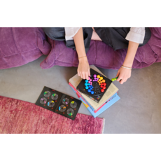 SMART TOYS AND GAMES IQ DELUXE CIRCLE