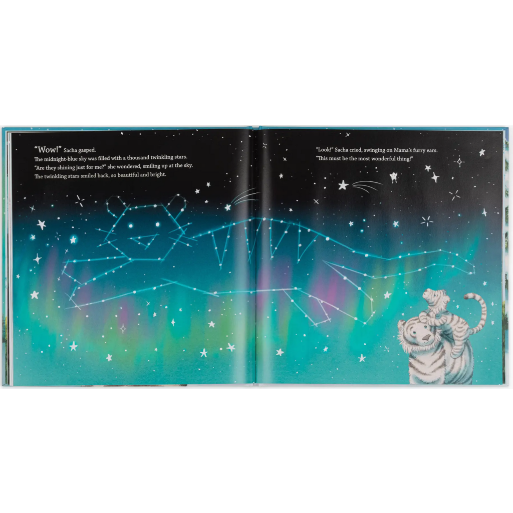JELLY CAT SACHA AND THE MOST WONDERFUL THING HB JELLY CAT@