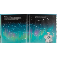 JELLY CAT SACHA AND THE MOST WONDERFUL THING HB JELLY CAT@